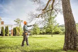 Best Emergency Tree Removal Services  in Oriole Beach, FL